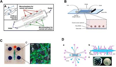 Biomaterial considerations for ovarian cancer models